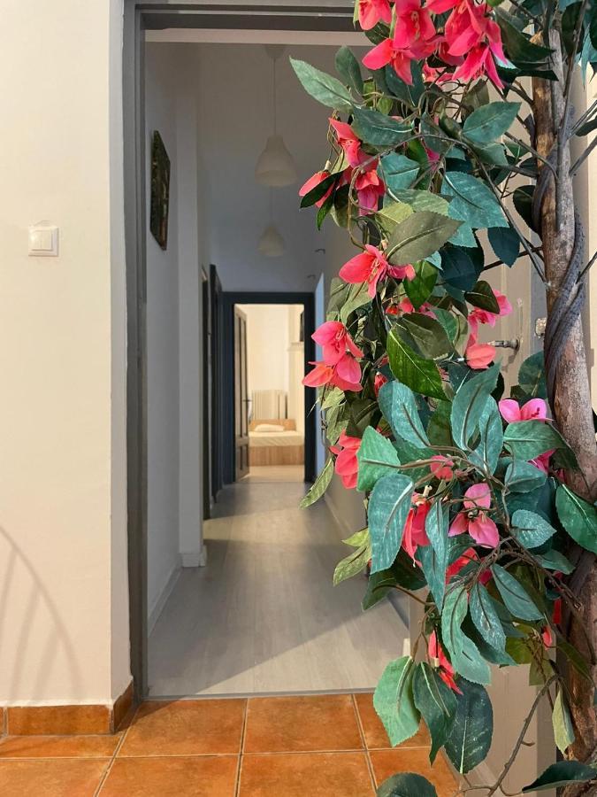 דירות בוקרשט Outstanding 3Br Ultracentral Cityview Balcony Aaa מראה חיצוני תמונה